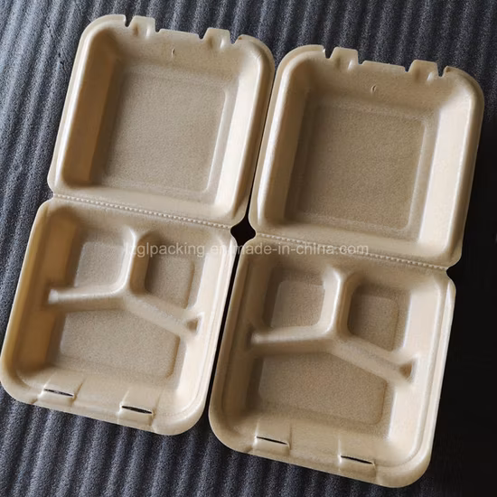 Compostable Biodegradable Foaming PLA Snack-Box