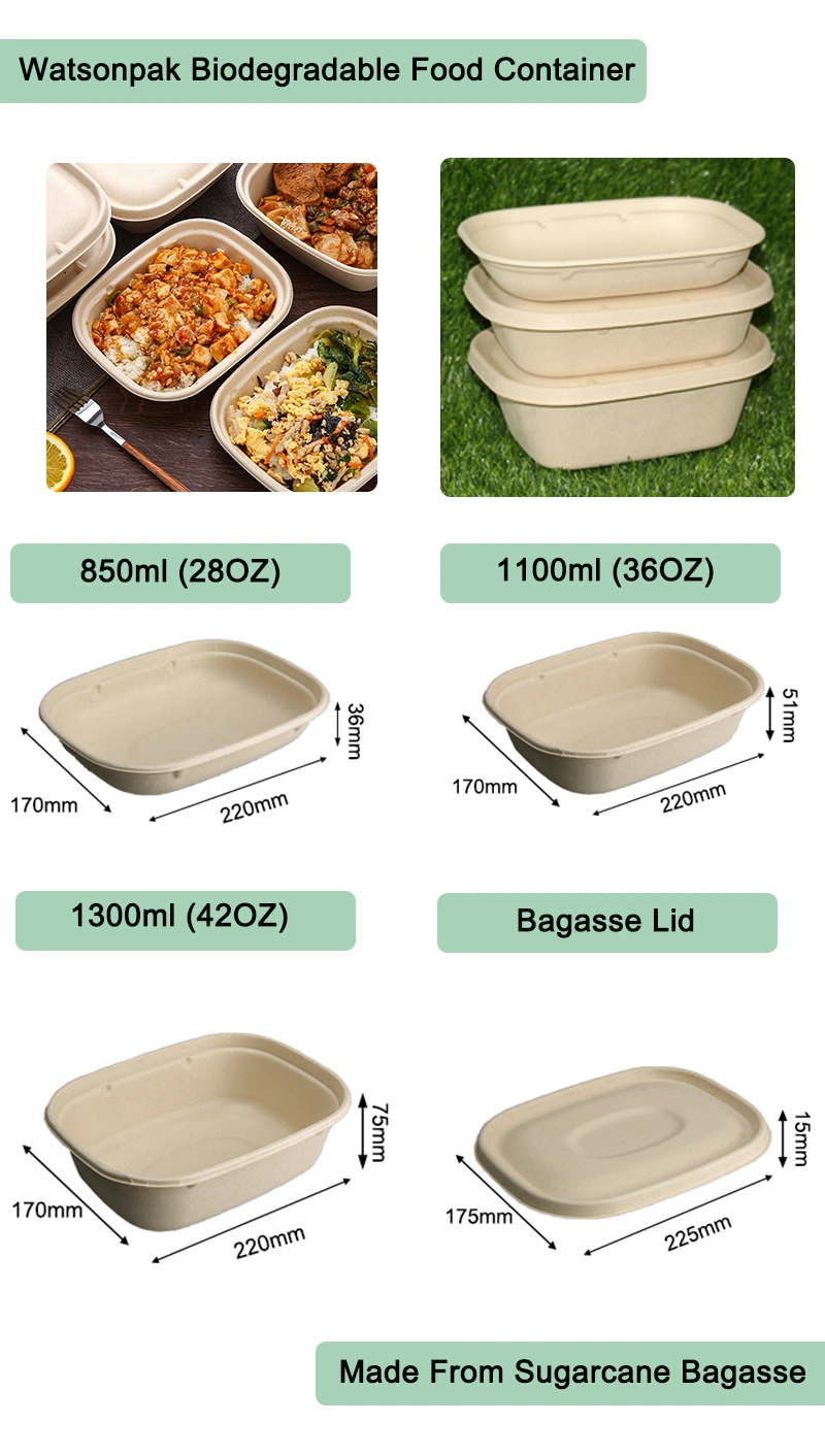 Biodegradable Large Tableware Menu Containers Snack Box Take out Lunch Box